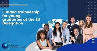 Funded Traineeships for Young Graduates at the EU Delegation to Nigeria